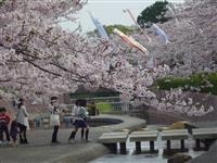 滝頭公園・写真