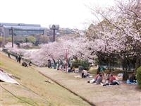 三好公園・写真