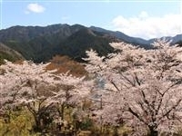 君ヶ野ダム公園・写真