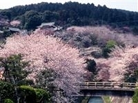 琵琶湖疏水・写真