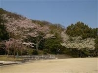 八幡公園・写真