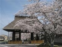 新宮神社・写真