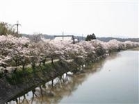 野洲川河畔岩上橋付近・写真