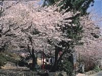 延命公園（滋賀県）・写真