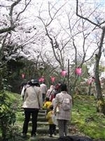 猪子山公園・写真