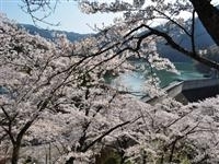 大野ダム公園・写真