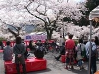 京都府立笠置山自然公園・写真