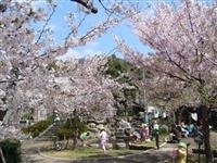 岡本南公園・写真