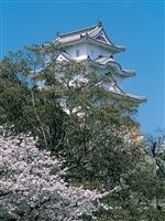 明石公園（兵庫県）・写真