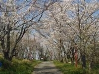 日笠山・写真