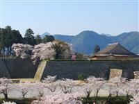 篠山城跡周辺・写真