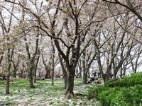 県立播磨中央公園・写真