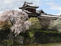 郡山城跡・写真