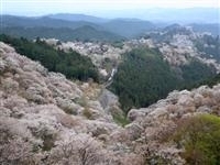 吉野山・写真