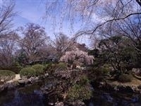 竹林院群芳園・写真