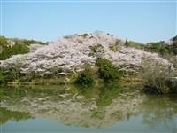 動鳴気峡・写真