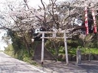 木ノ根神社・写真