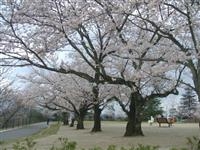 一の谷公園・写真