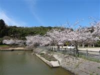 愛宕山公園・写真