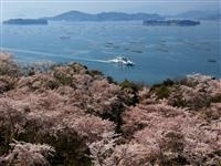 正福寺山公園・写真