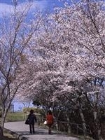 眉山公園・写真