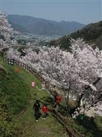 金竜山公園・写真