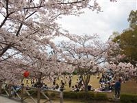 公渕森林公園・写真