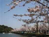 亀鶴公園・写真