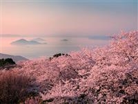 紫雲出山・写真