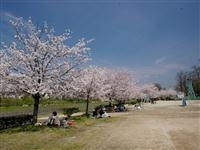 石手川緑地・写真