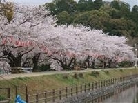 滝の宮公園・写真