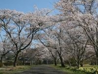 家地川公園・写真