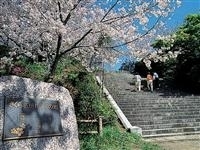 西公園（福岡県）・写真