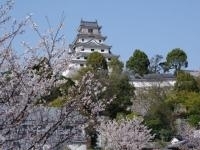 唐津城（舞鶴公園）・写真