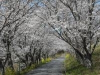 日の隈公園・写真