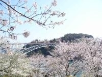 西海橋公園・写真