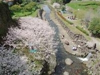 橘公園・写真