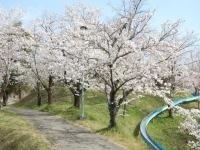 蛇ヶ谷公園・写真