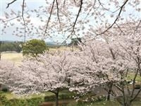 菊池公園・写真