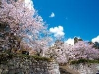 舞鶴公園（宮崎県）・写真