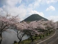 藺牟田池県立自然公園・写真