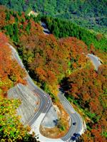 白山スーパー林道