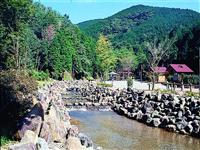 童子沢親水公園・写真