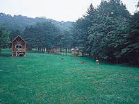 ポロト自然休養林キャンプ場・写真