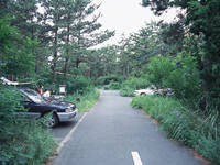 休暇村伊良湖オートキャンプ場・写真