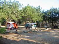 自然の森ファミリーオートキャンプ場・写真