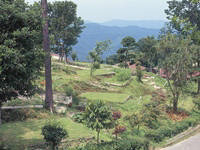 上の台緑の村・写真