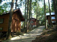 福岡市油山市民の森キャンプ場・写真