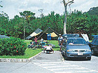 沖縄県県民の森・写真