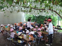 山門ぶどう園・写真